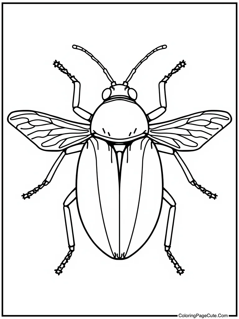 Advanced insect illustration