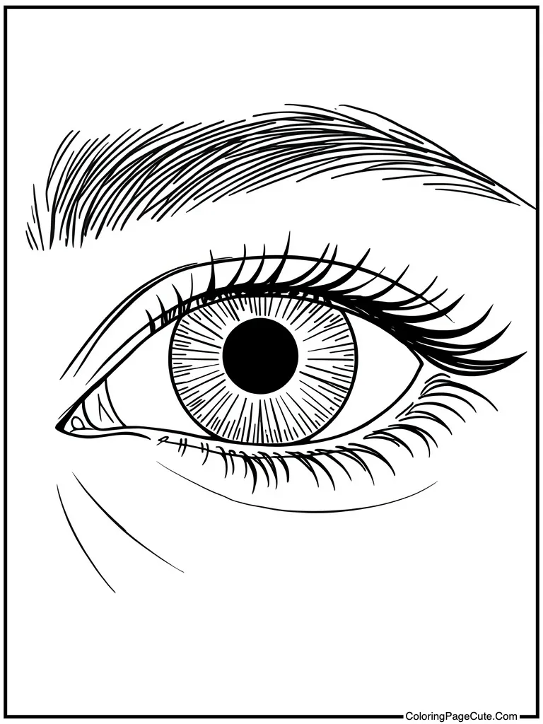 Complex eye drawing