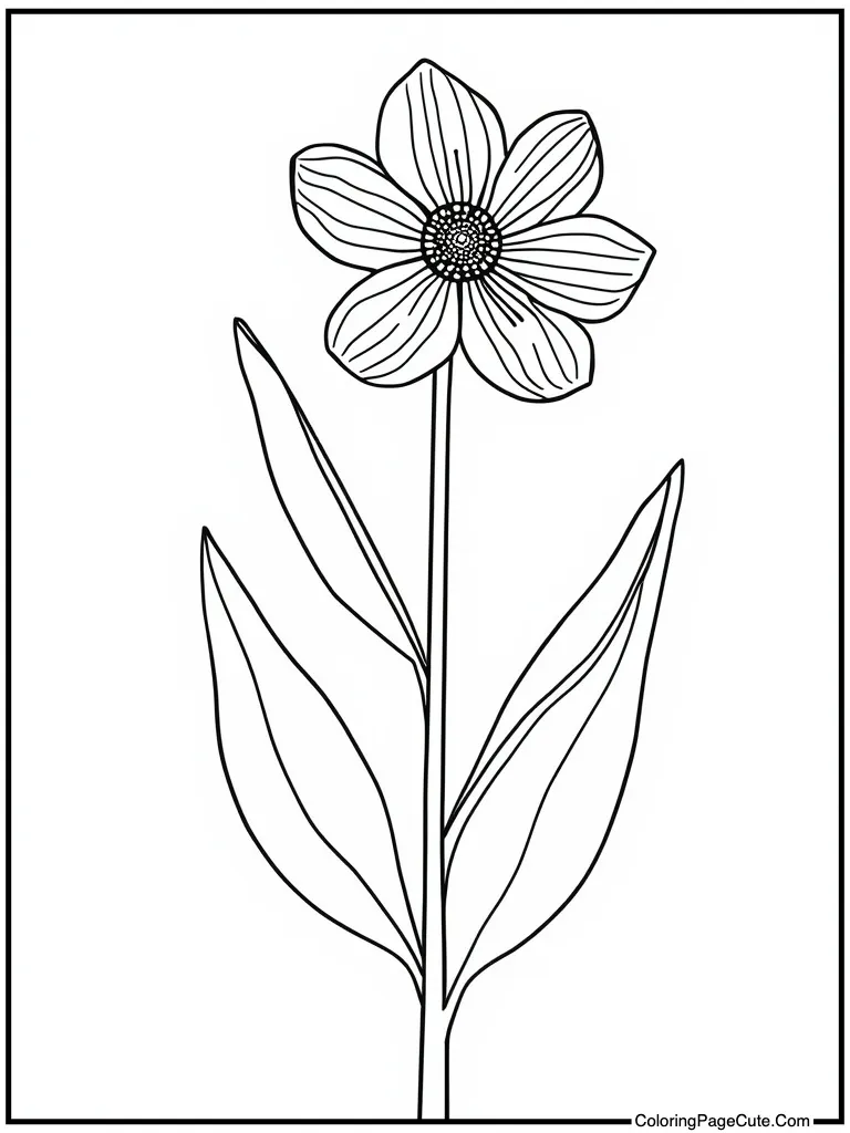 Sophisticated spring drawing