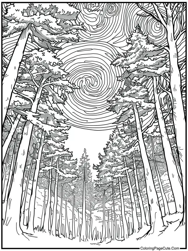 Starry night sky view