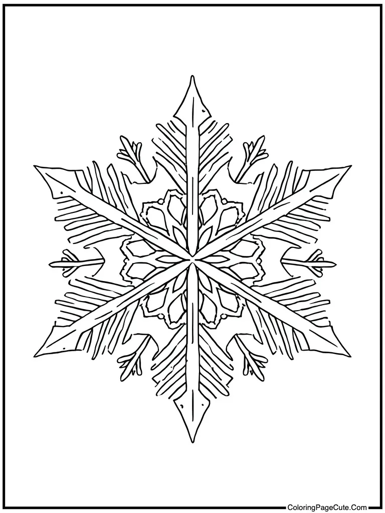 Snowflake ice crystal shape
