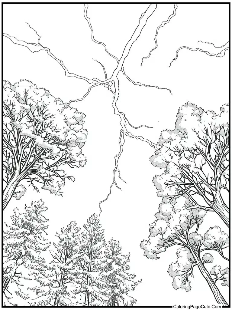 Lightning bolt storm sky