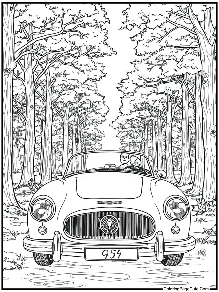 Classic car vintage ride