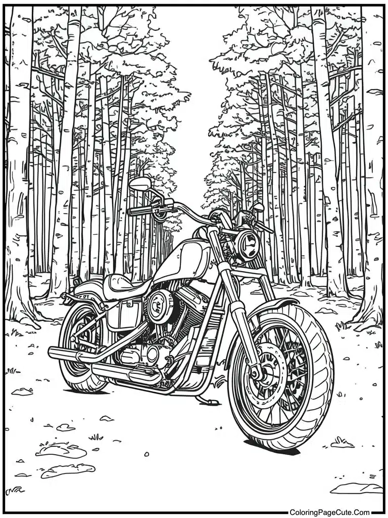 Motorcycle chopper shiny chrome