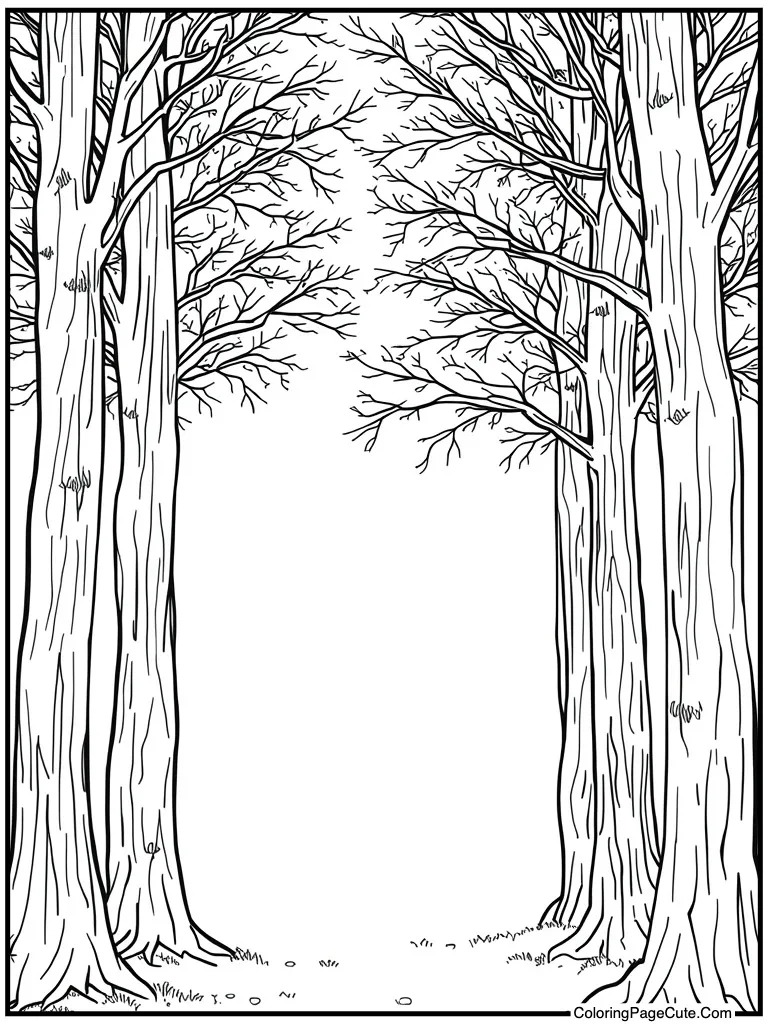 Piano keys black white