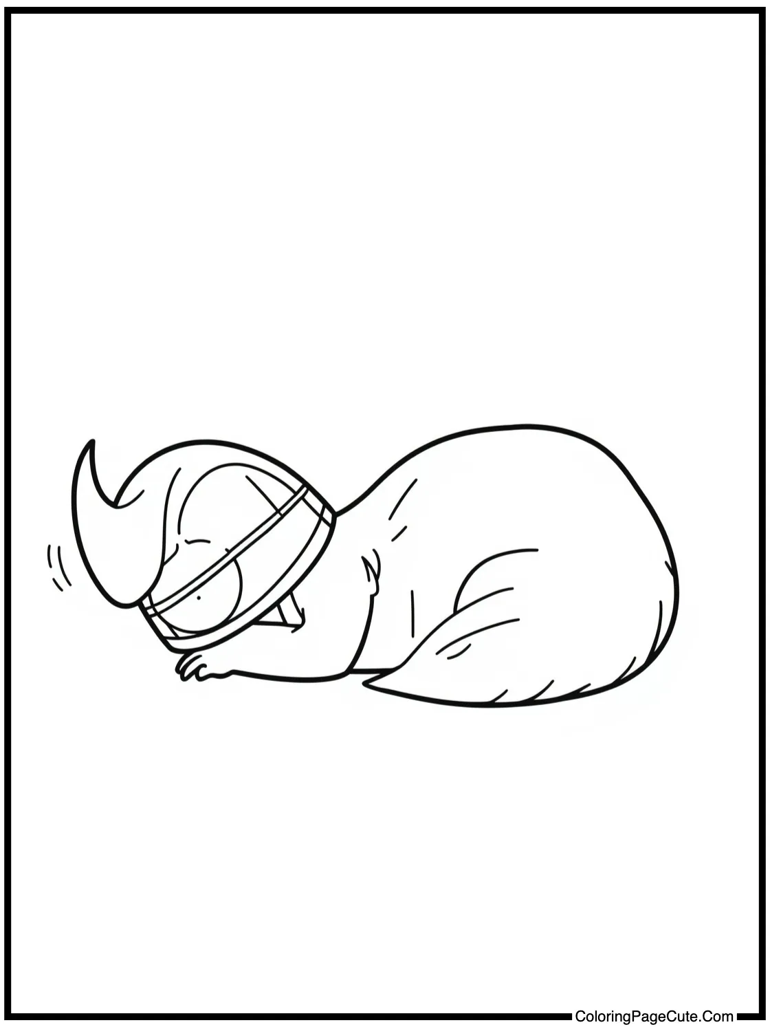 Nibbler napping peacefully