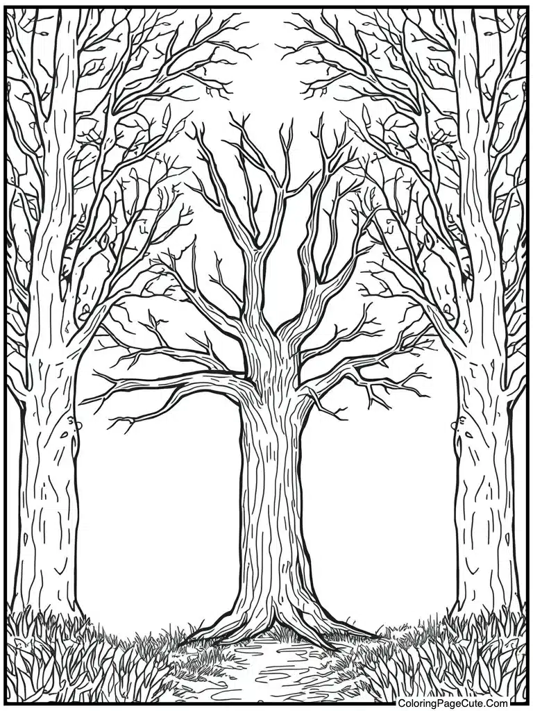 Dead tree bare branches