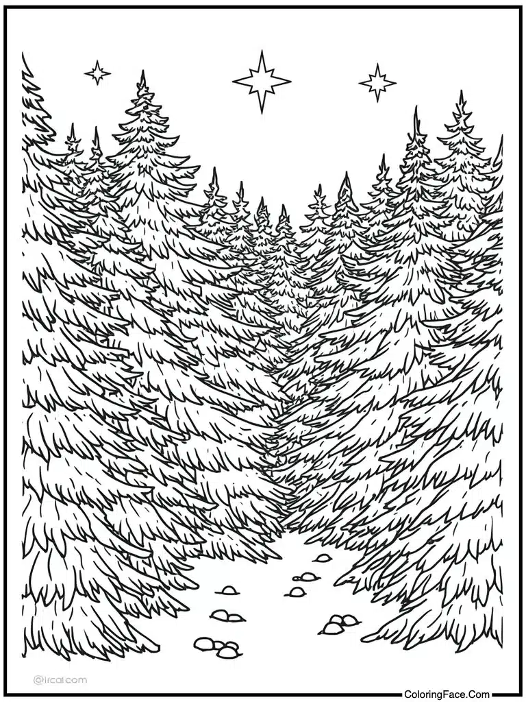 Eight nights of lights