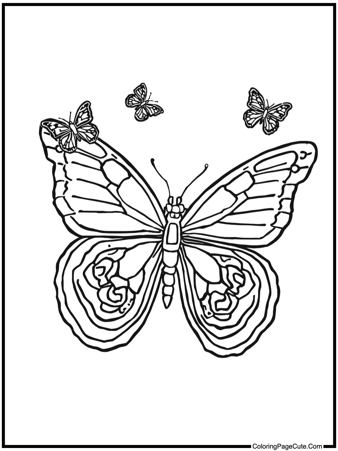 Kalluto observing butterflies