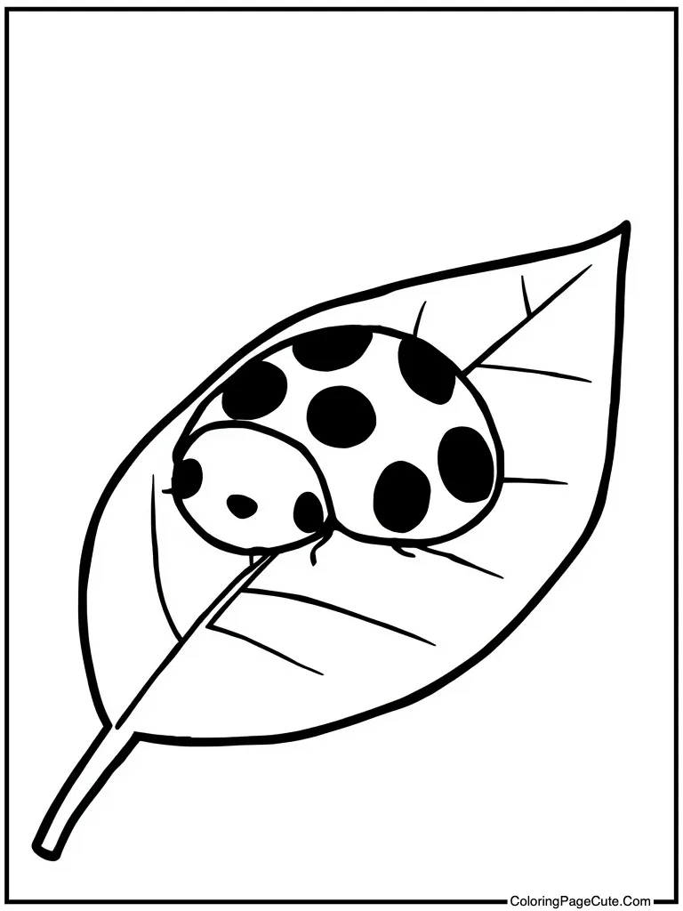 Lovely ladybug on leaf