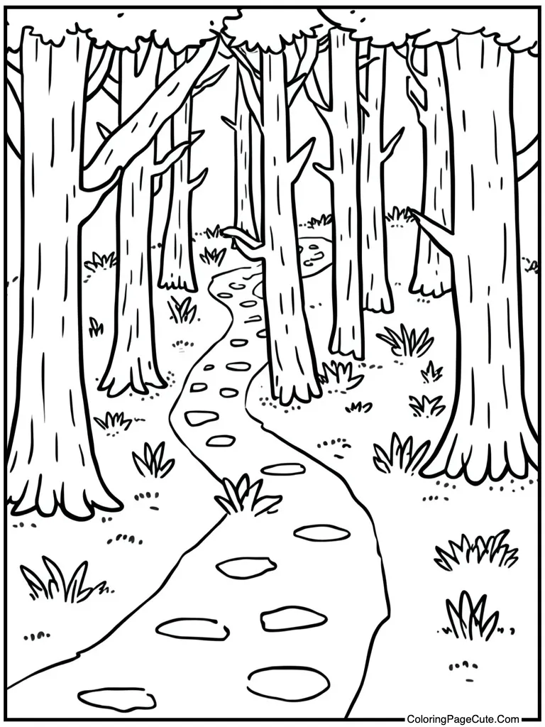 Delightful forest path winding