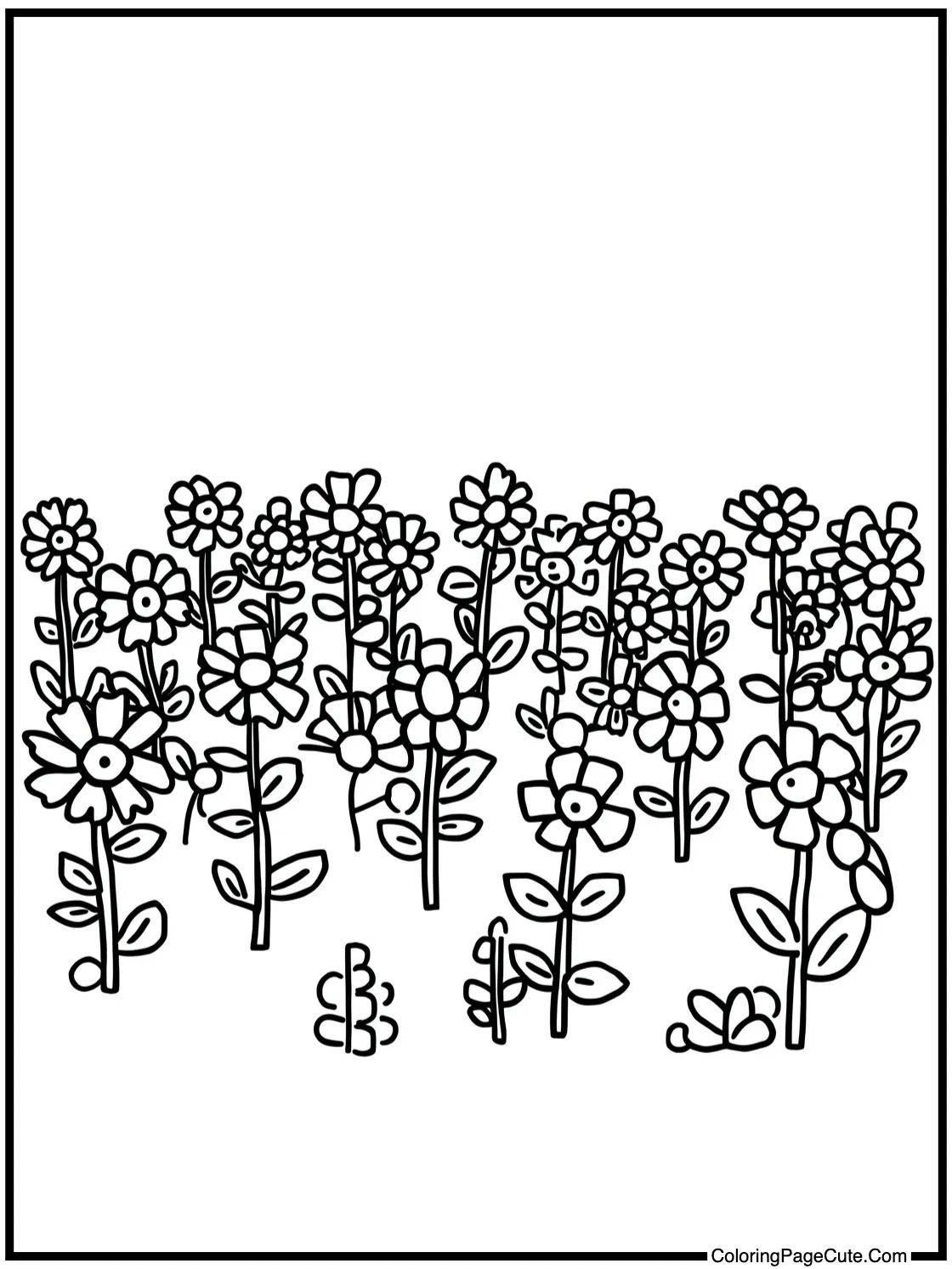 a vibrant flower field