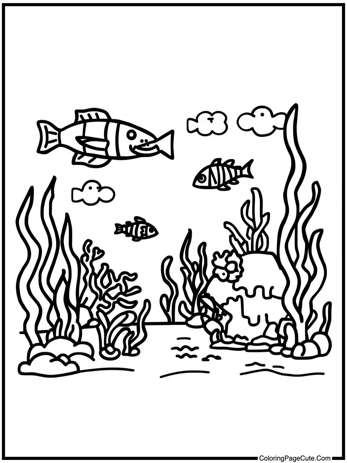 exploring underwater world