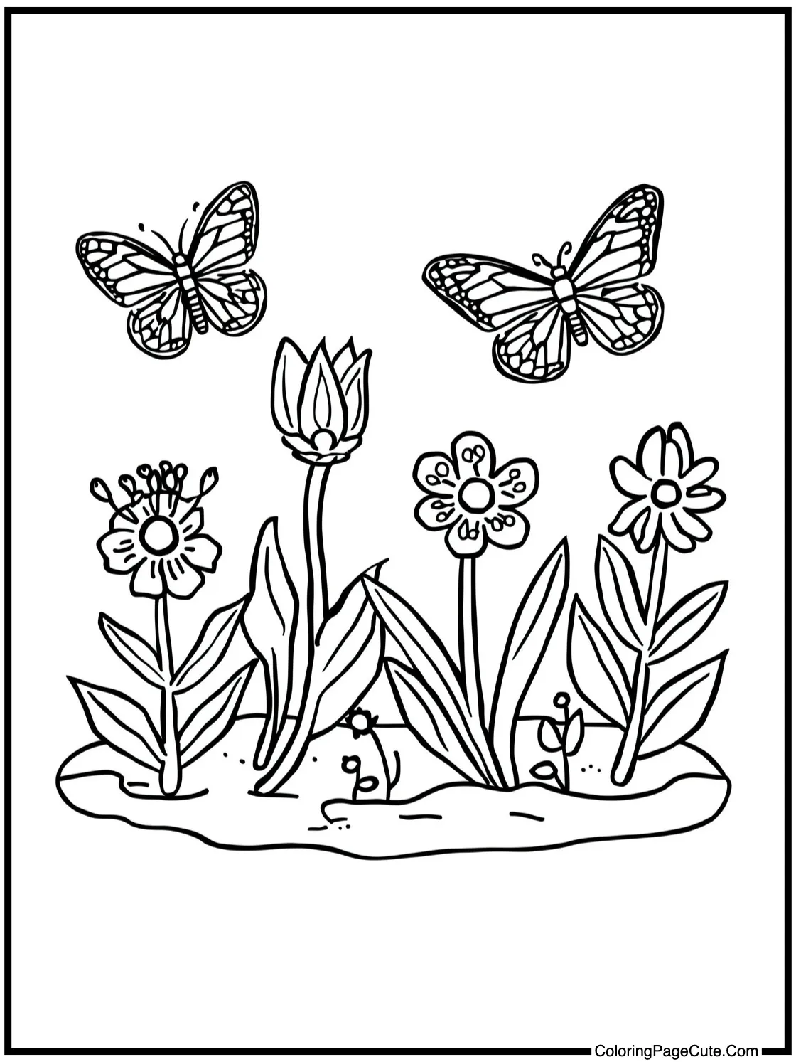 a beautiful butterfly garden