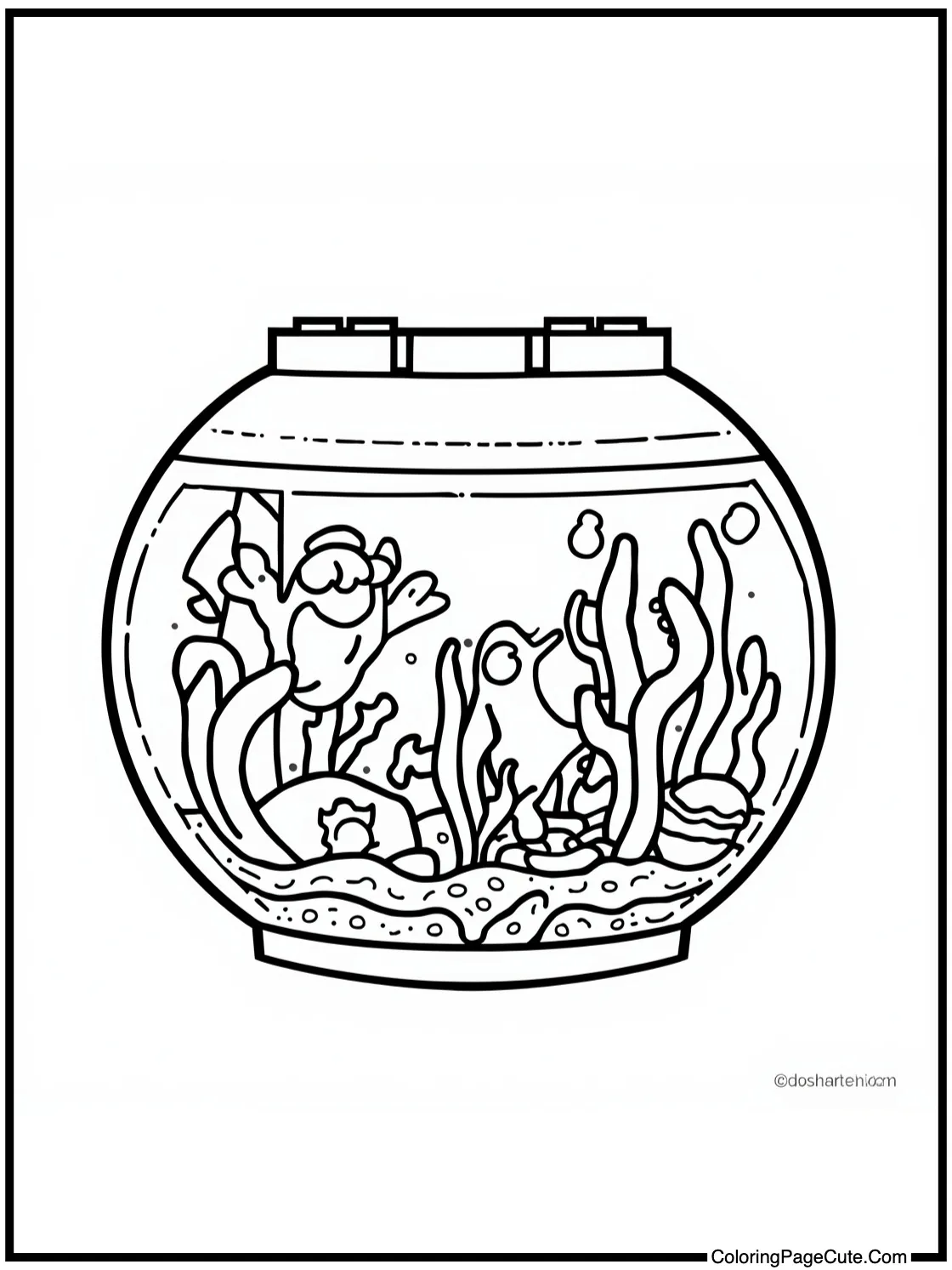 of a vibrant aquarium