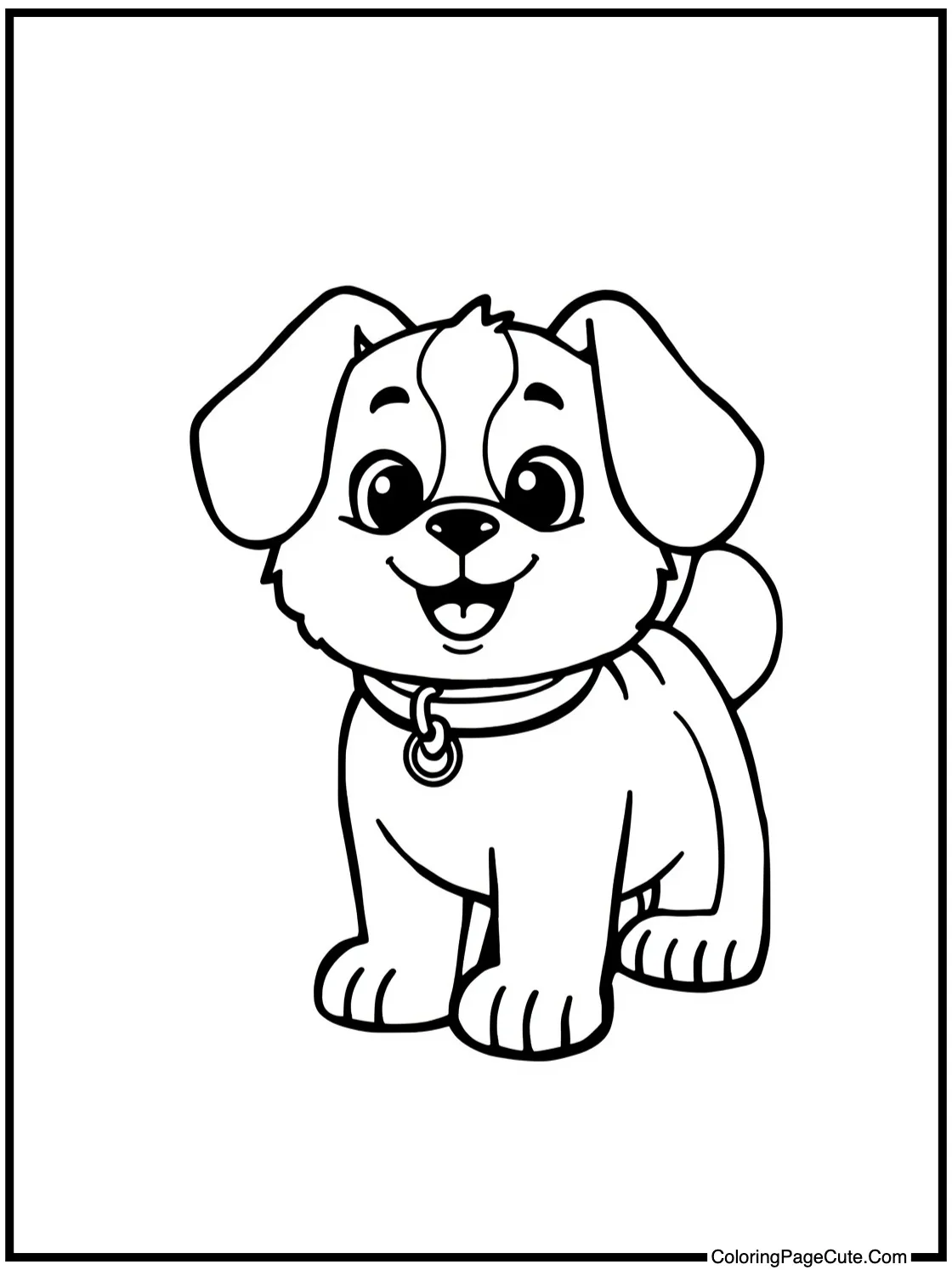 a happy pet adventure