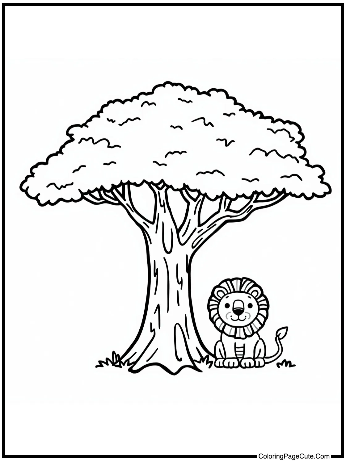 Under acacia tree shade