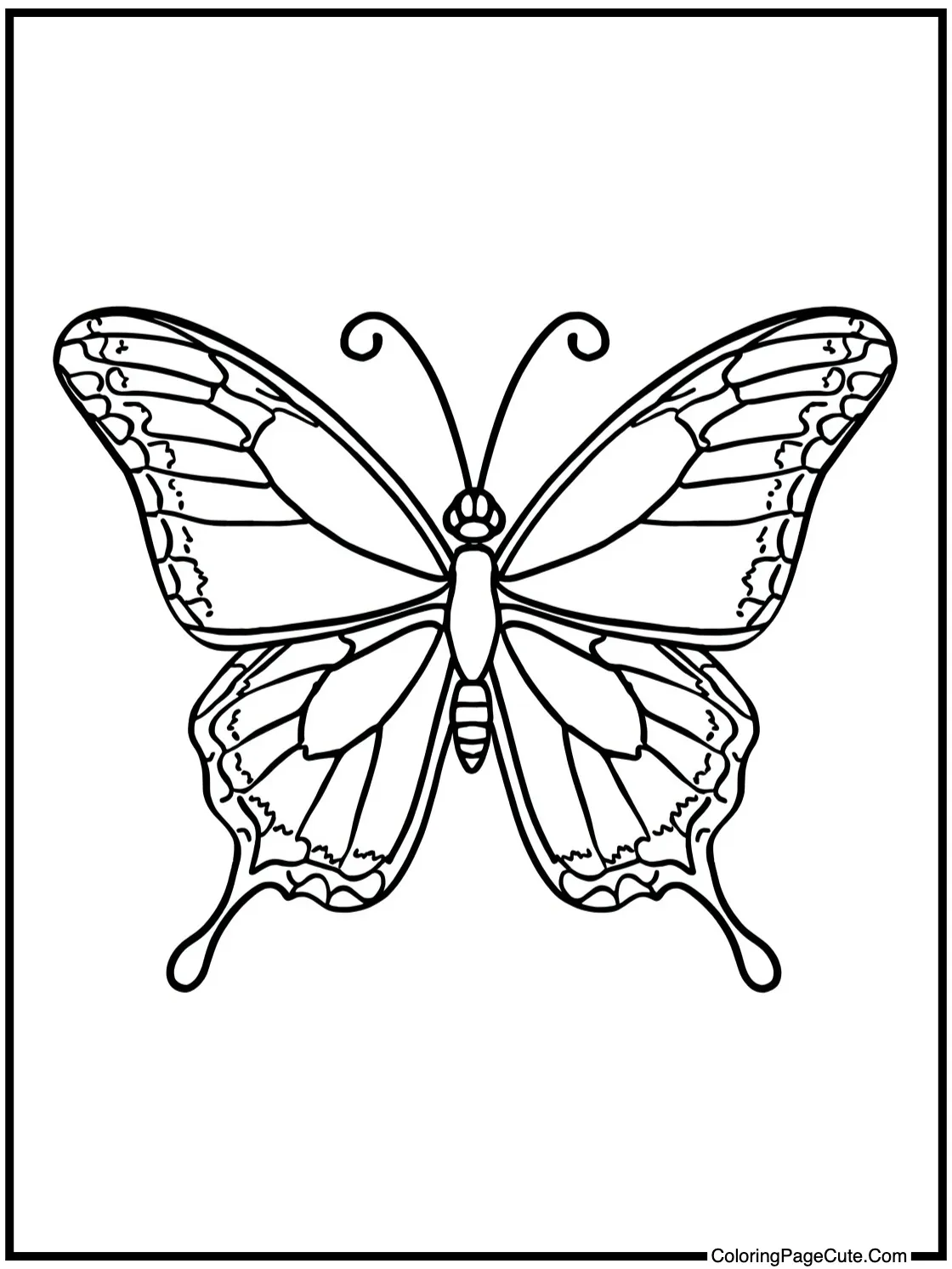 with a beautiful butterfly