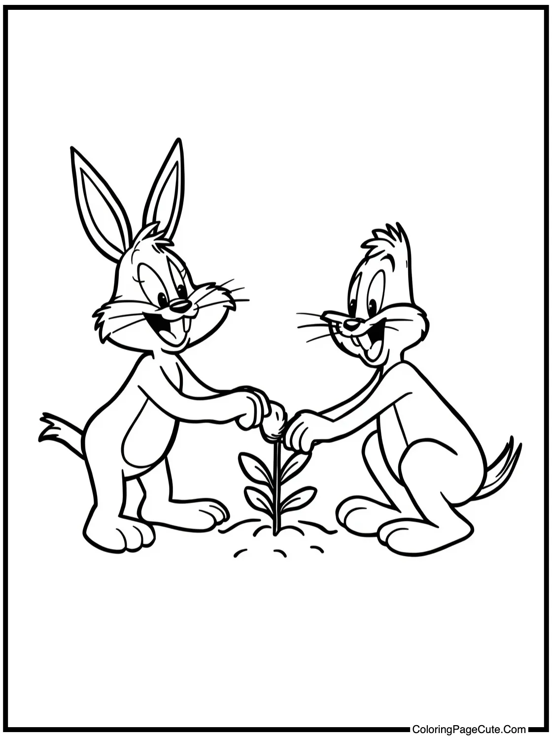 planting small seeds