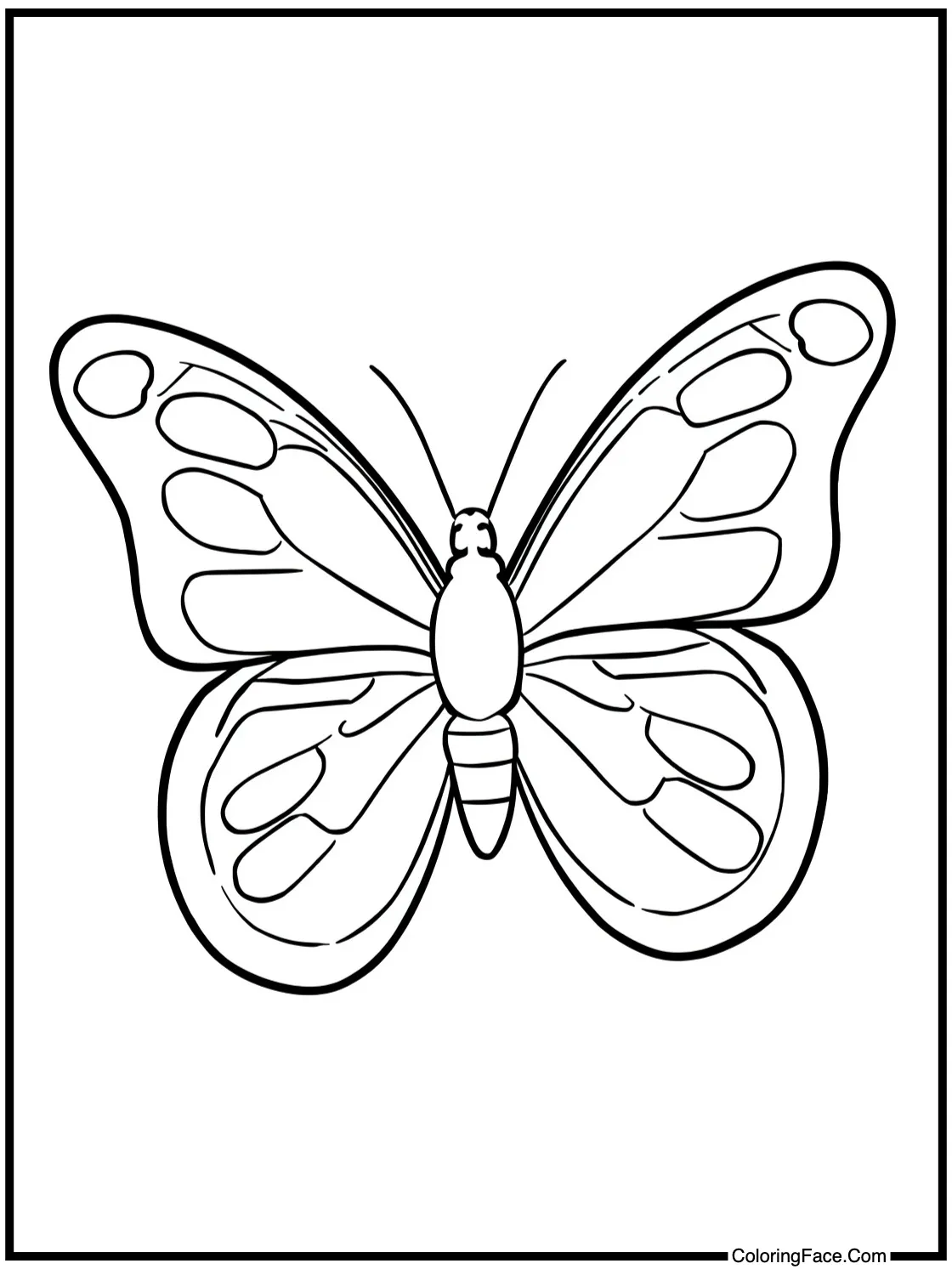 Looking at butterflies