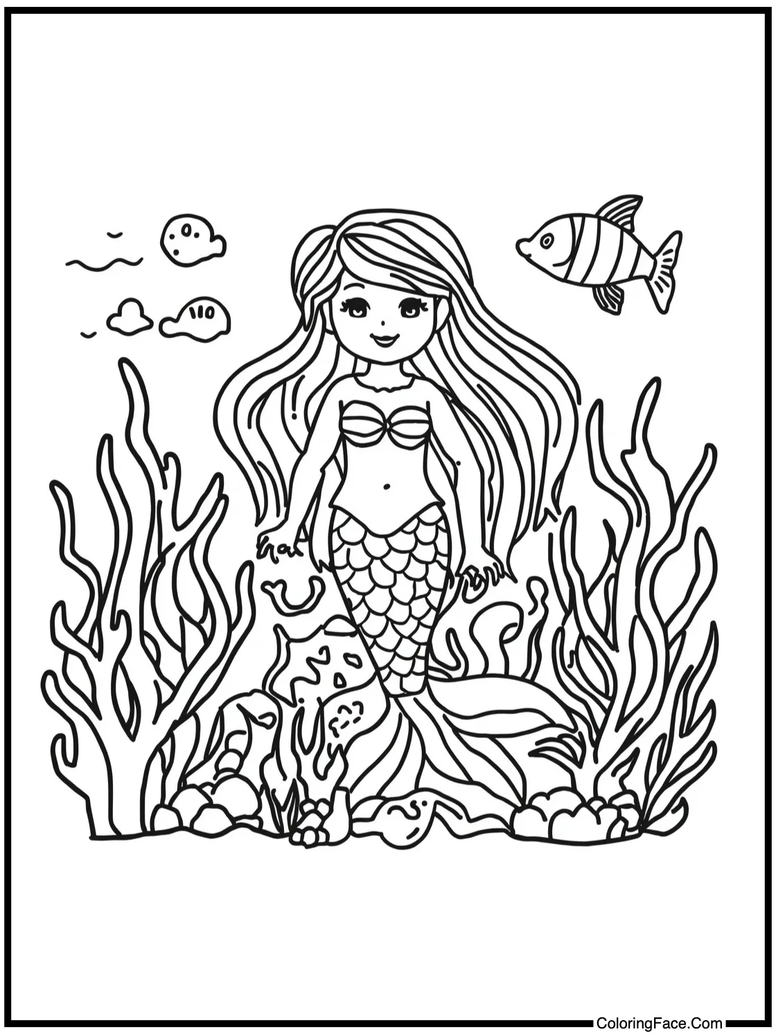 admiring coral gardens