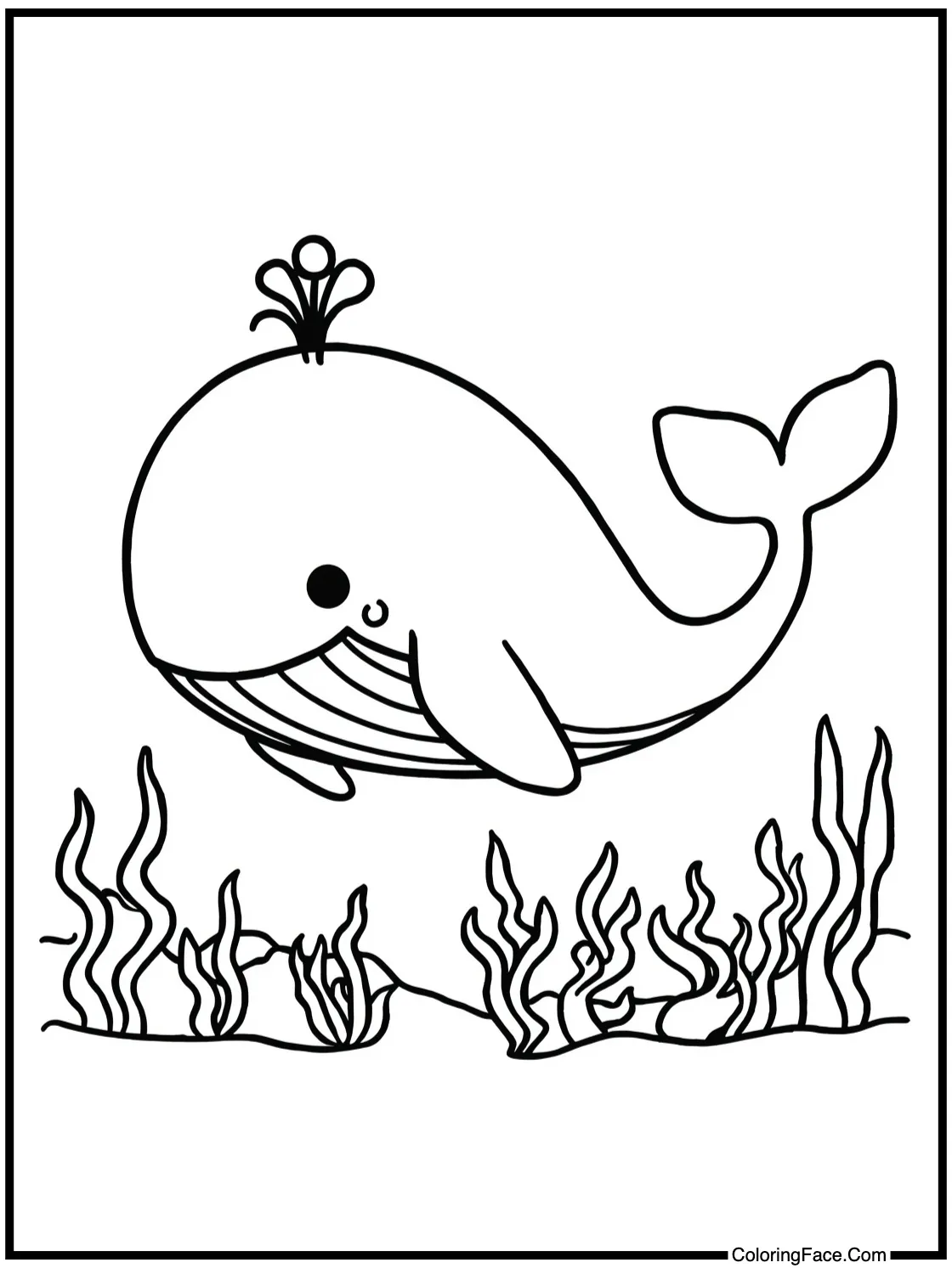 with a friendly whale