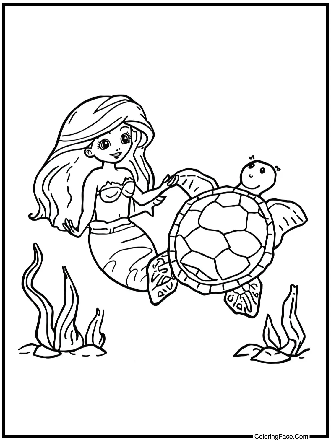 meeting a sea turtle