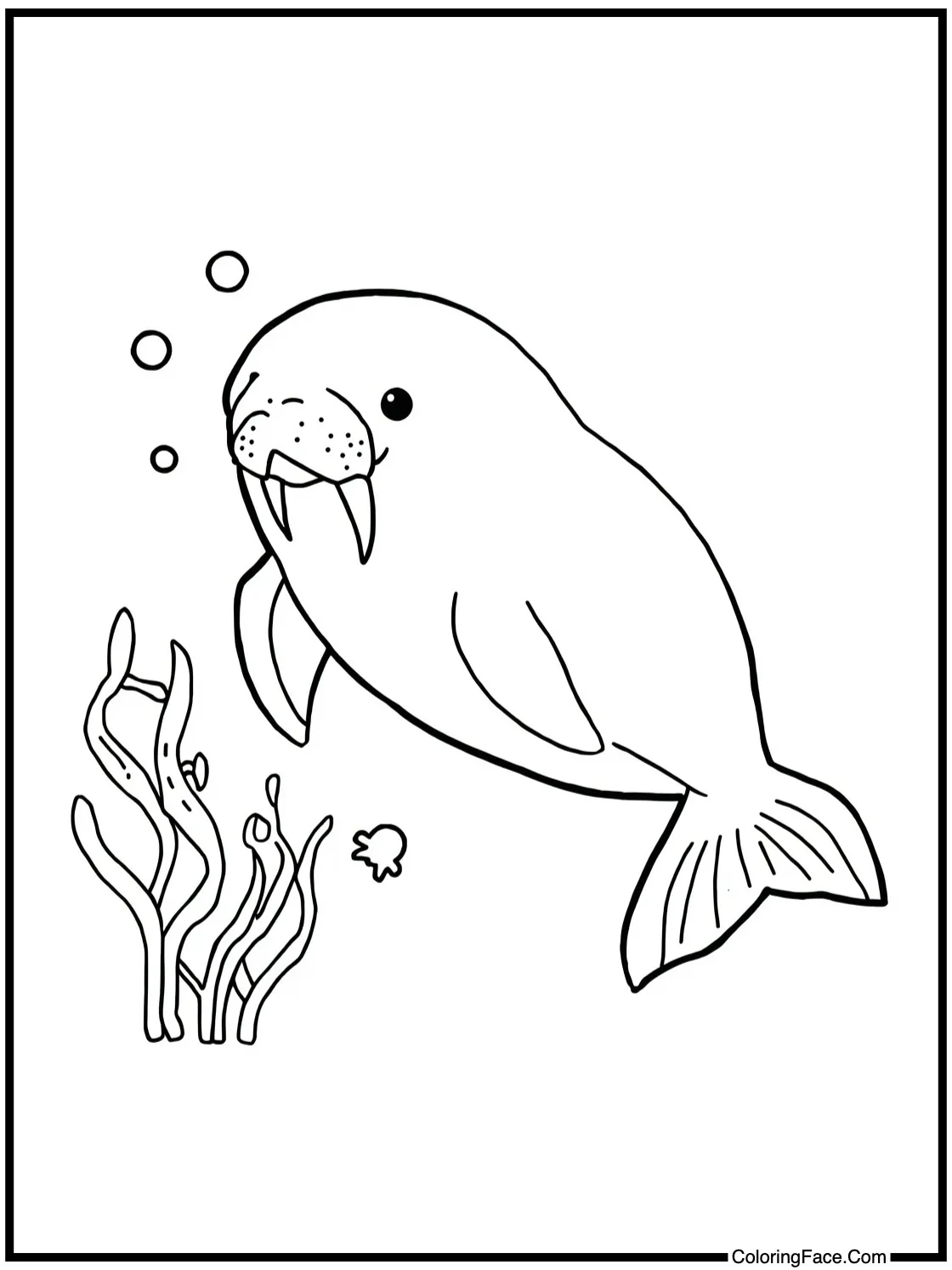 with a gentle manatee