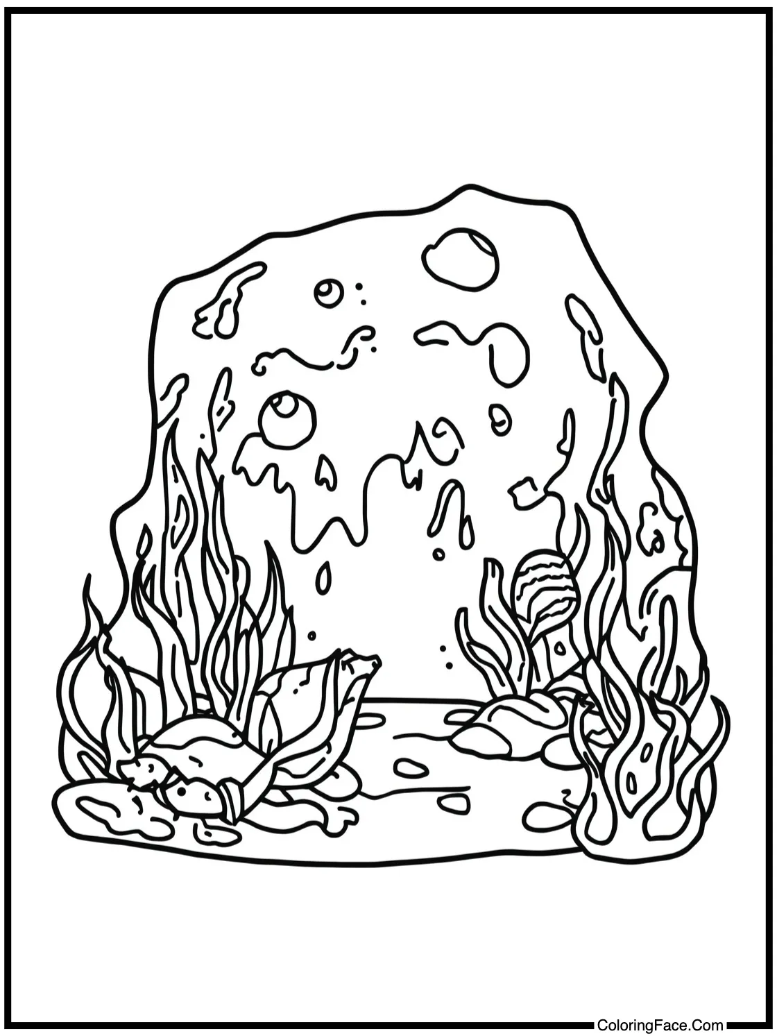 exploring a hidden cove