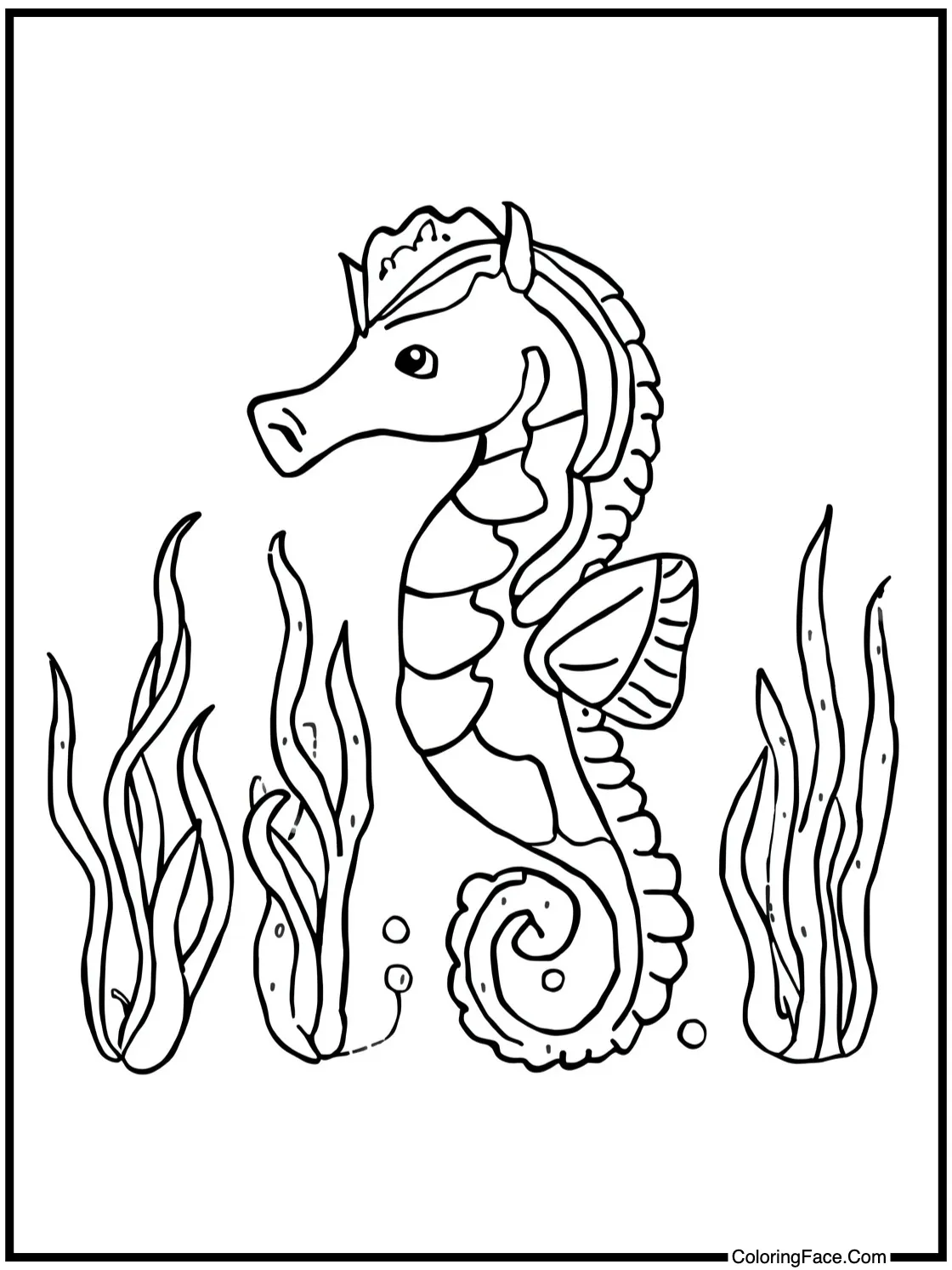 meeting a seahorse family