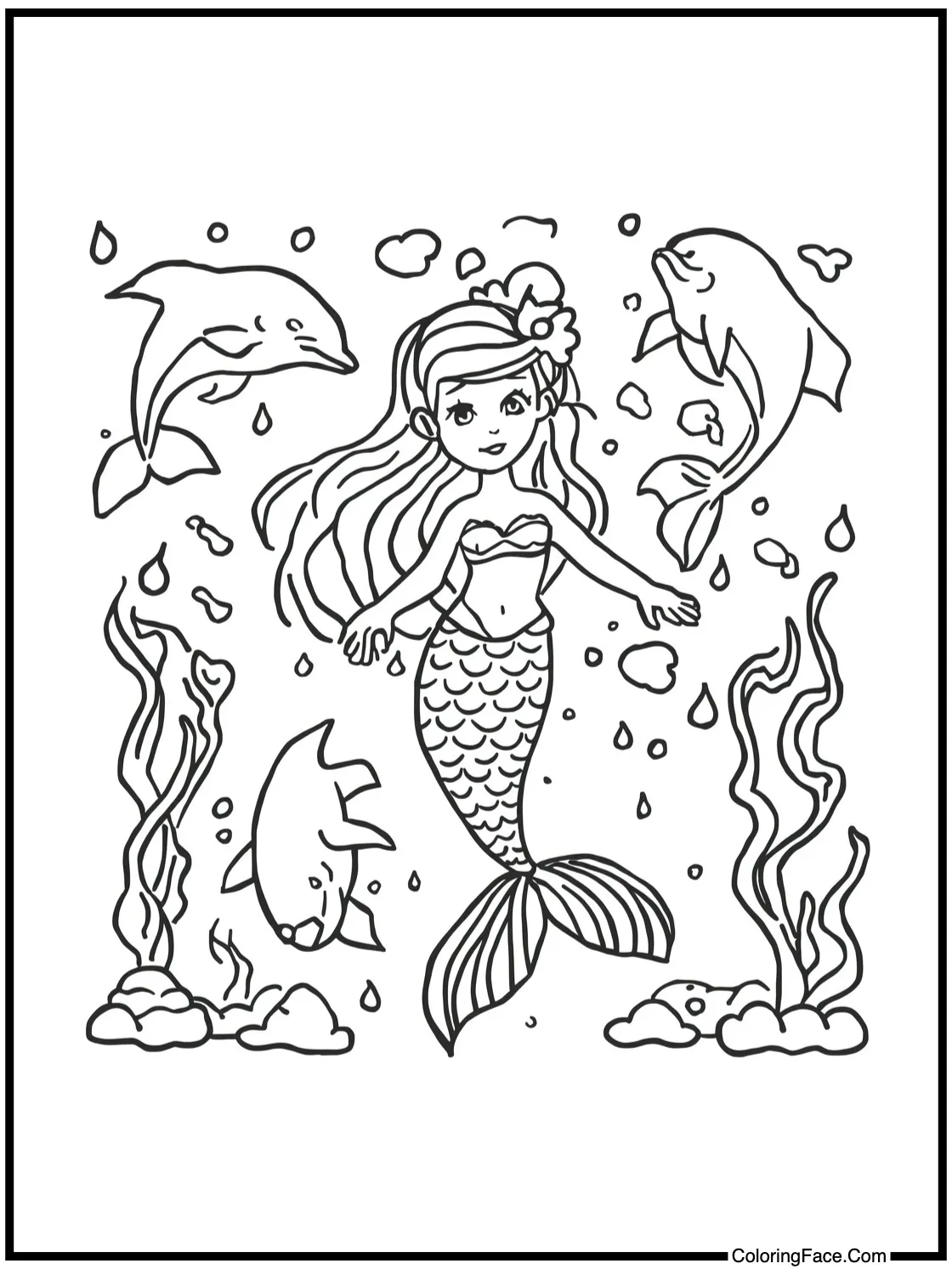 playing with dolphins