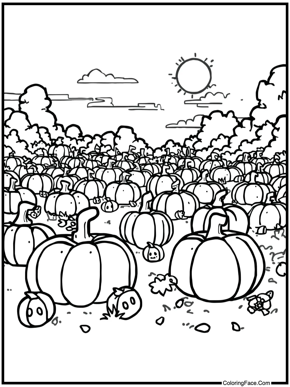 Pumpkin patch fun