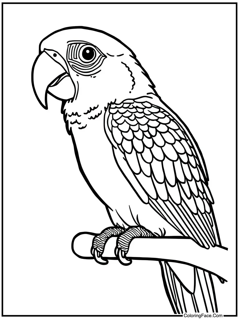 Parrot sitting on shoulder