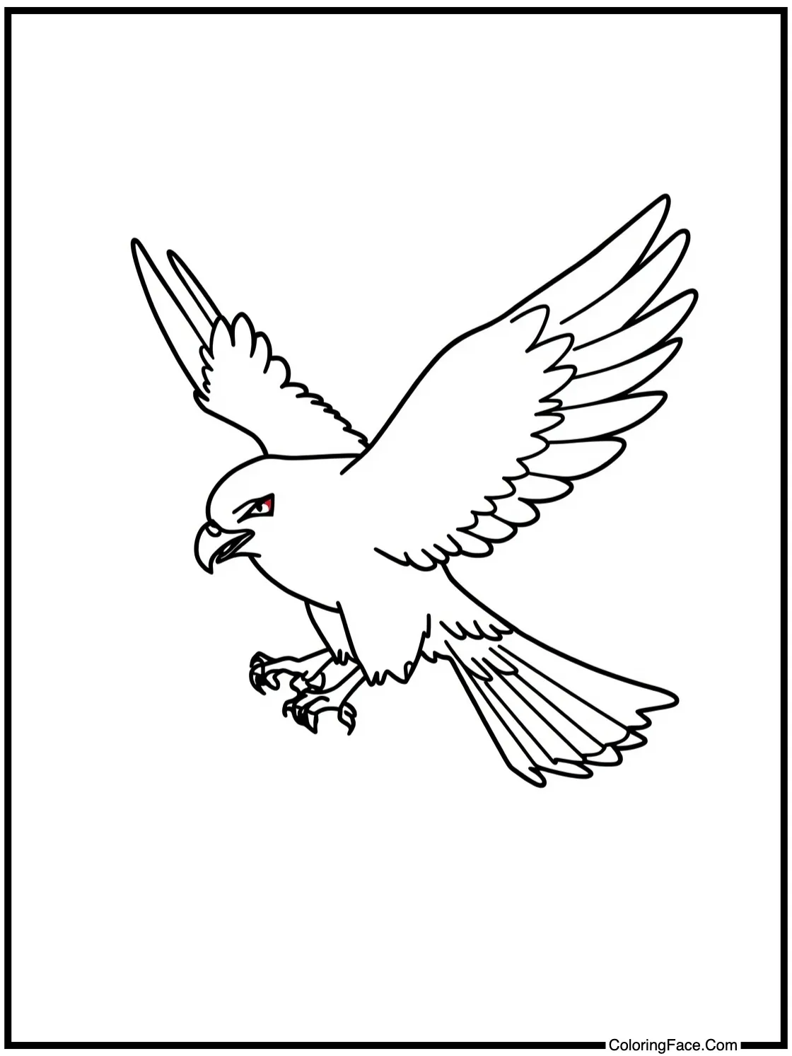 of Hawks flying gracefully