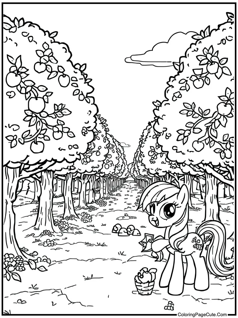 Apple orchard harvest time