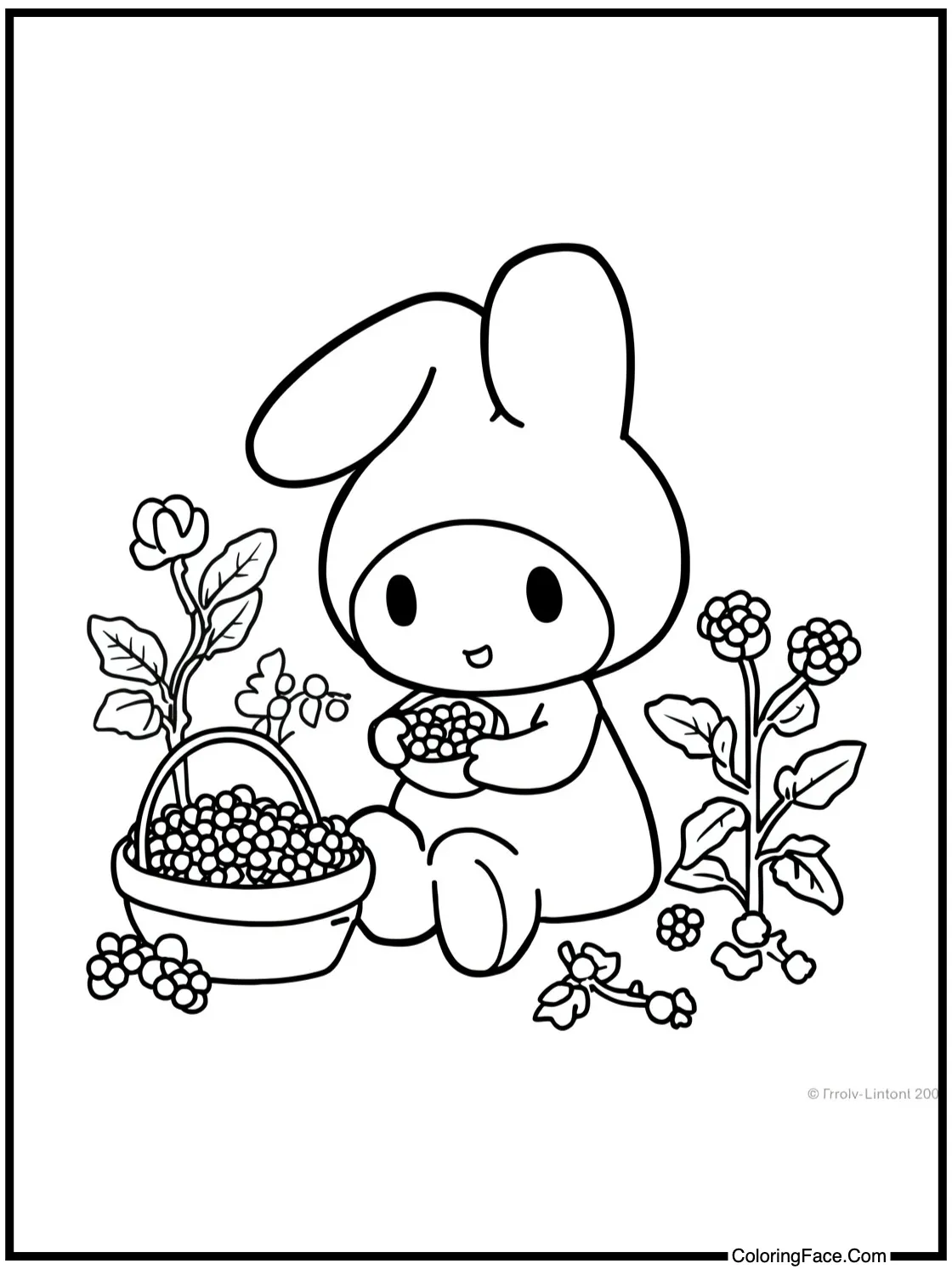 picking fresh berries.