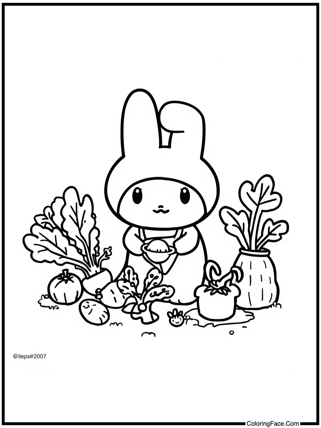 harvesting fresh vegetables.