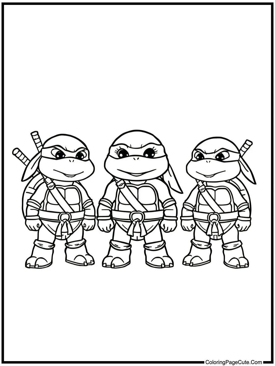 organizing their collection