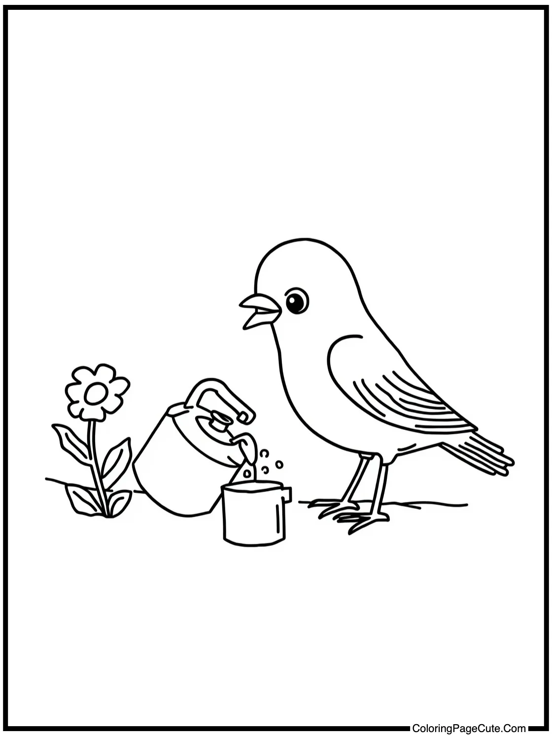 Robin watering flowers.