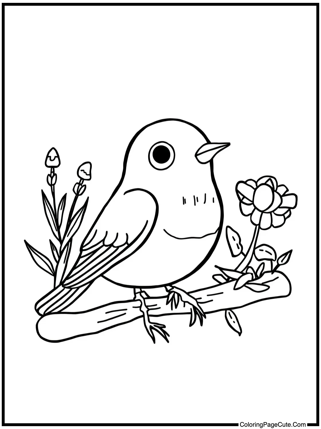 Robin enjoying nature.