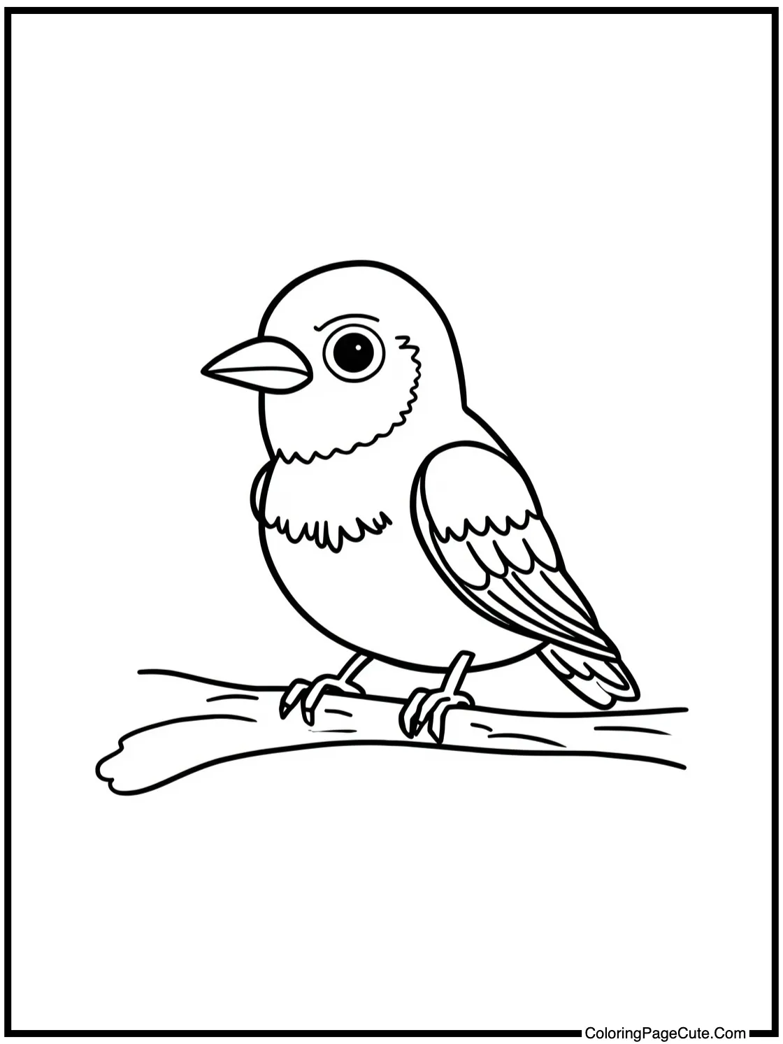 Robin studying old texts.