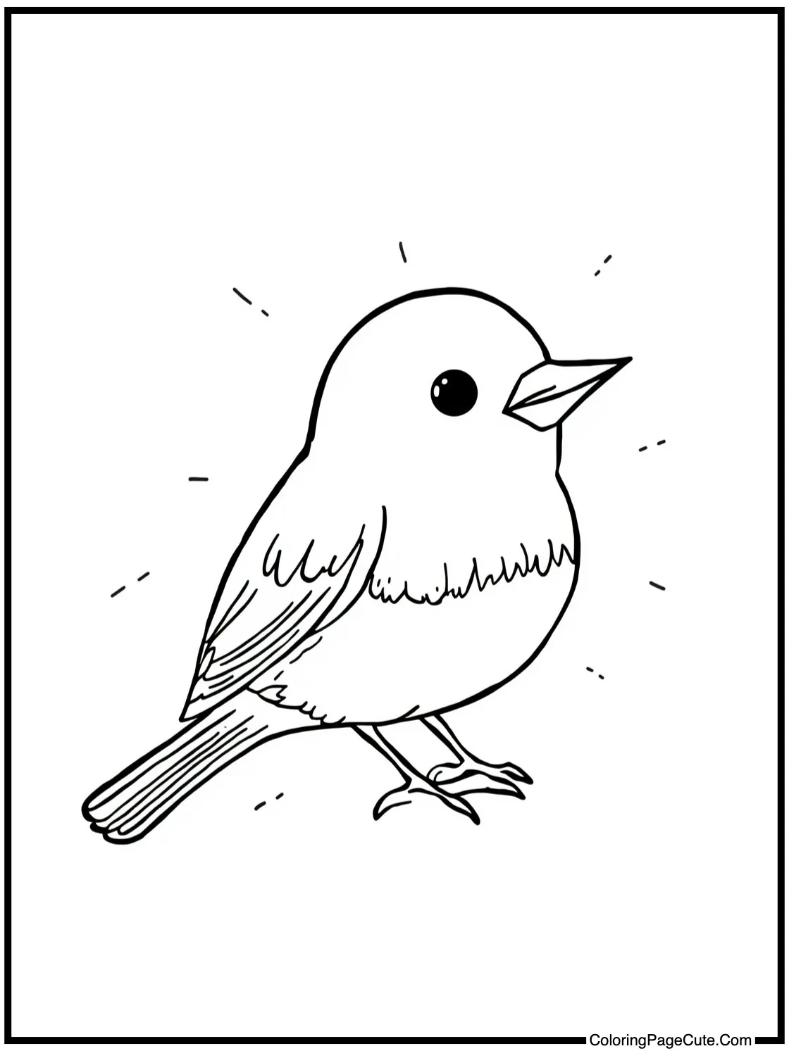 Robin enjoying quiet moment.