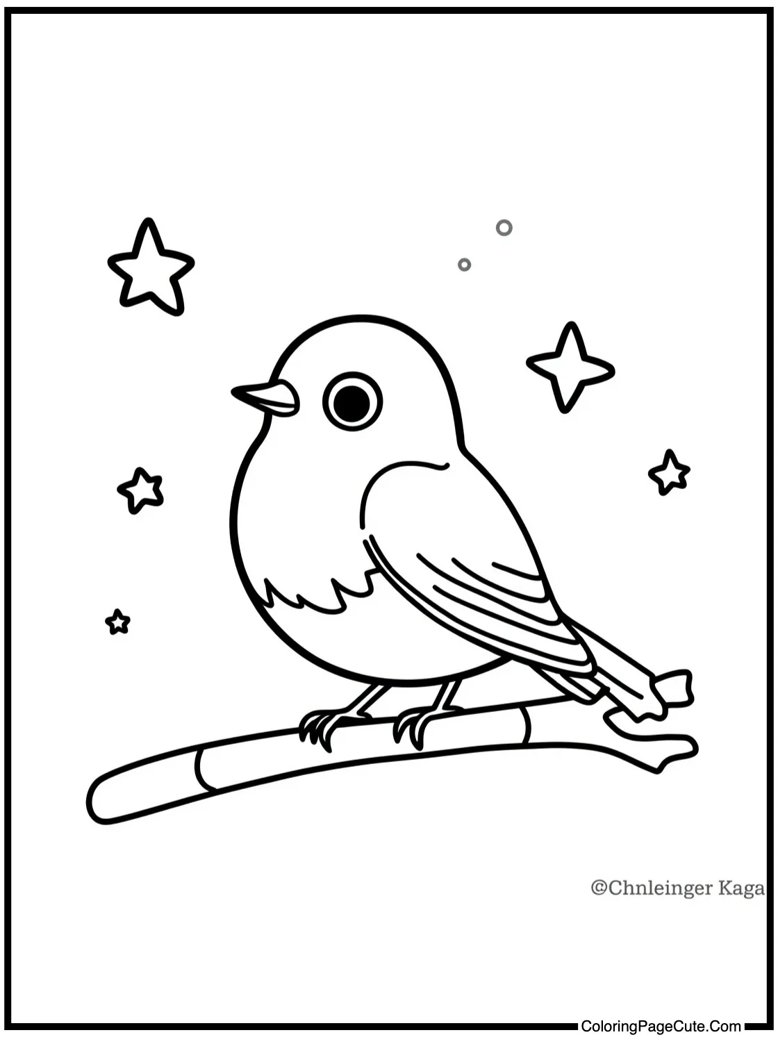 Robin observing the stars.