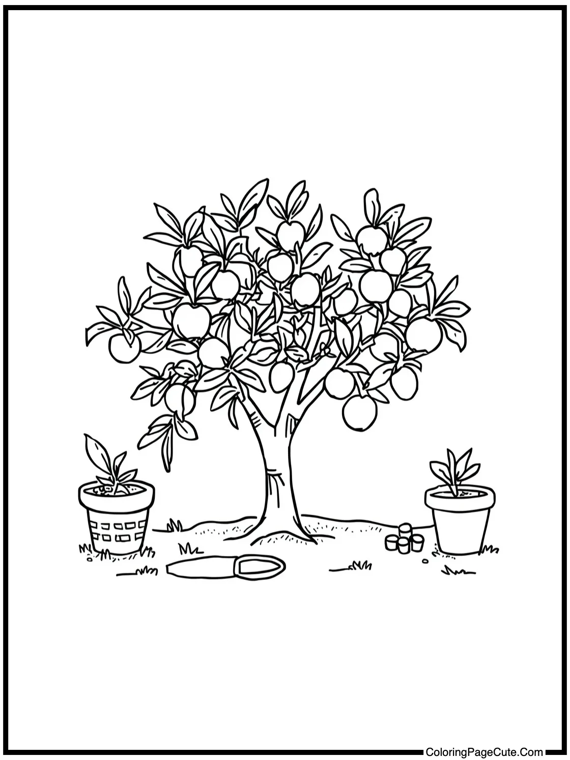 Nami planting an orange tree.