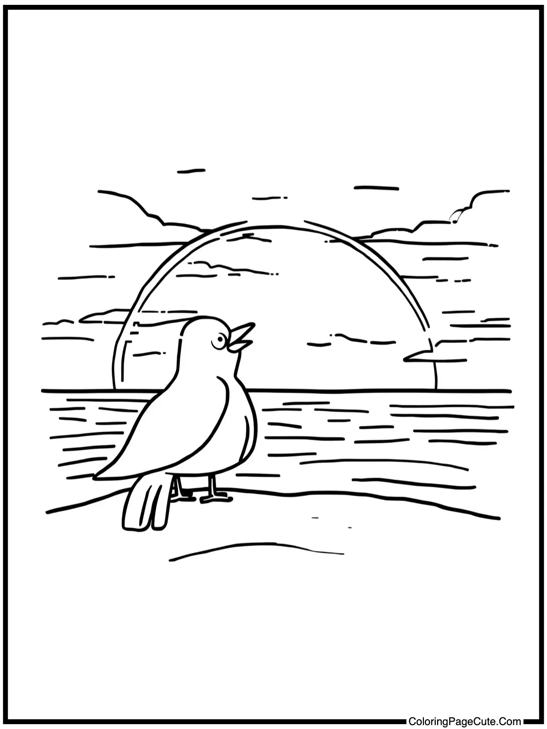 Robin enjoying a sunset.