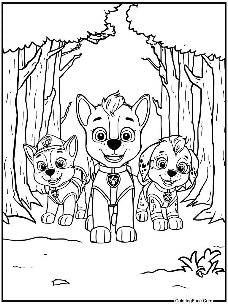 Kitten squad causing trouble