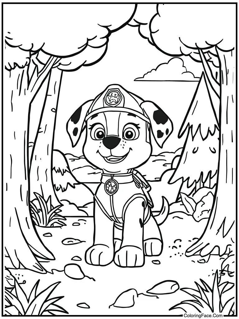 Summer beach sunny day