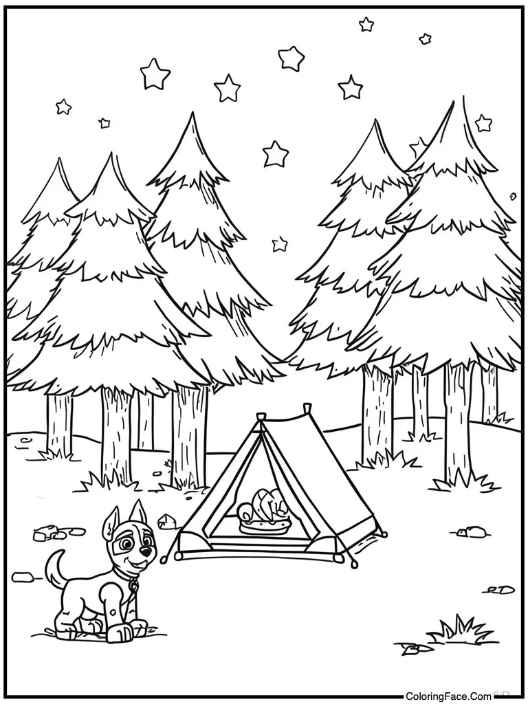 Camping tent under stars