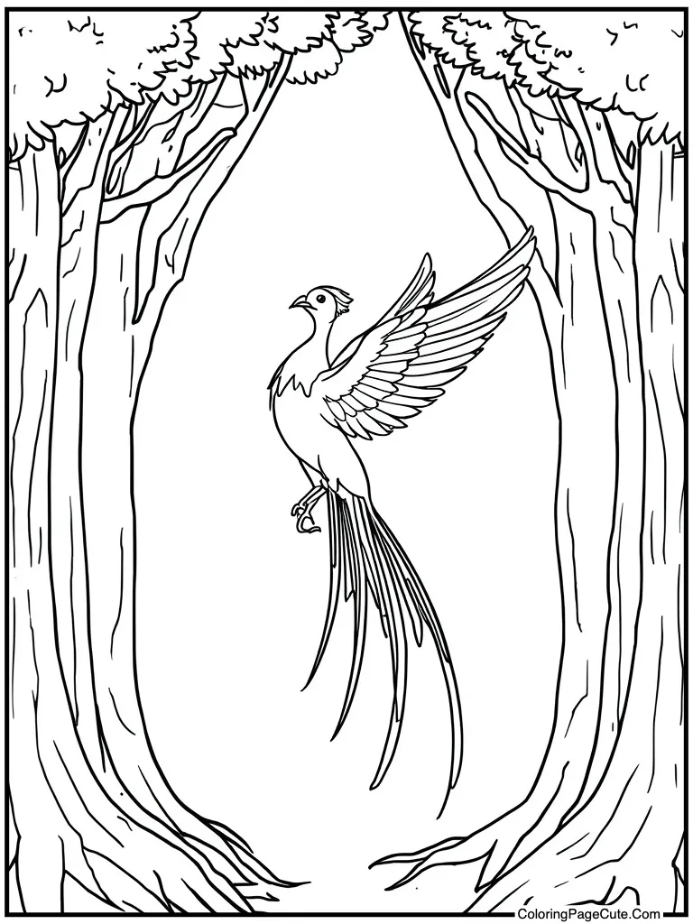 Phoenix bird rising up