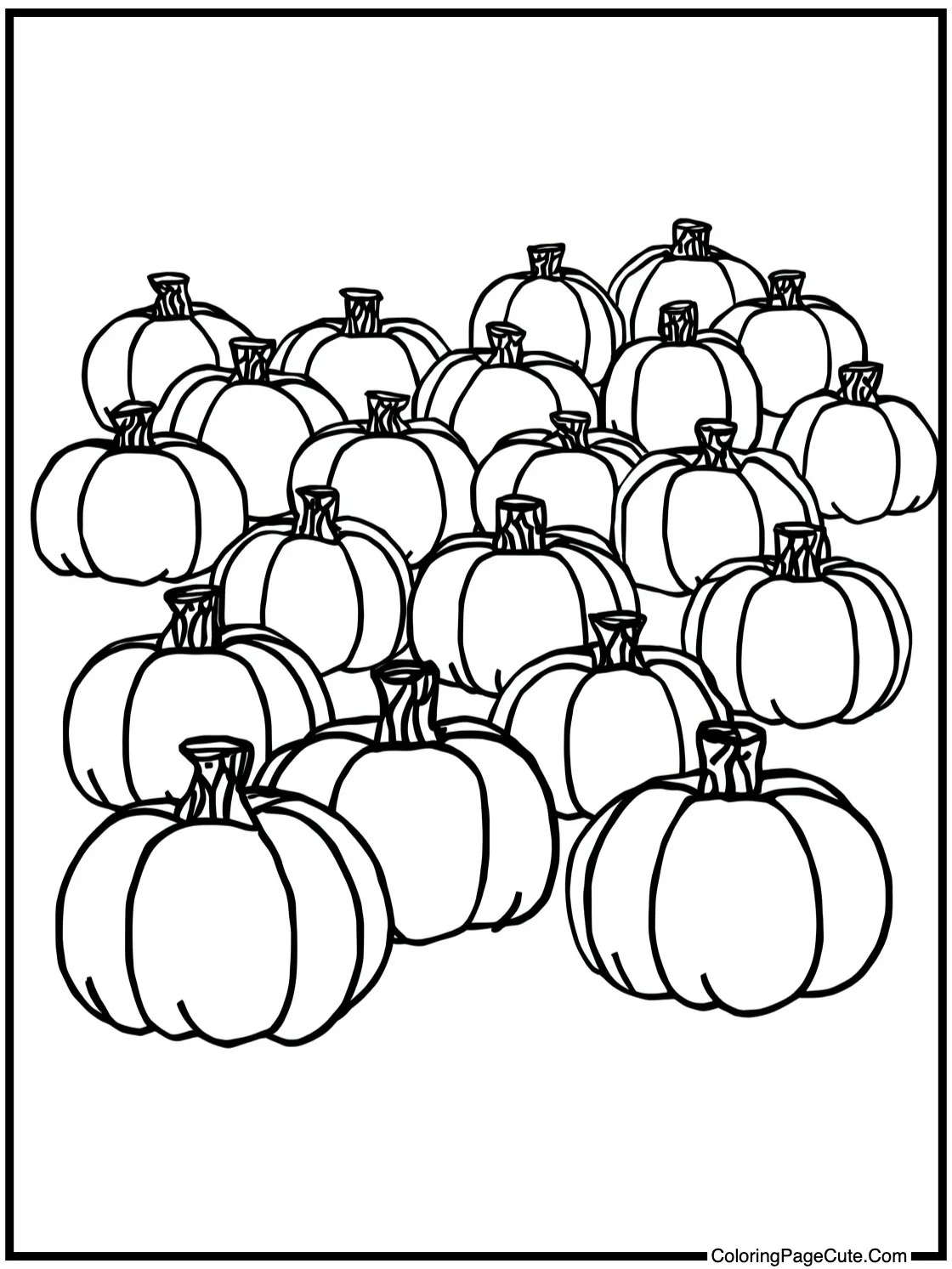 Patch full of gourds